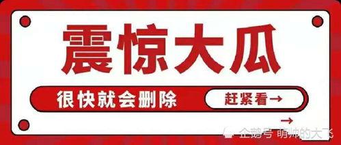 娱乐八卦每日吃瓜汇总,盘点娱乐圈最新热点,揭秘明星幕后故事