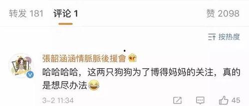 娱乐网吃瓜名单,最新吃瓜名单曝光,明星动态大揭秘!
