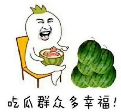 娱乐圈吃瓜专用