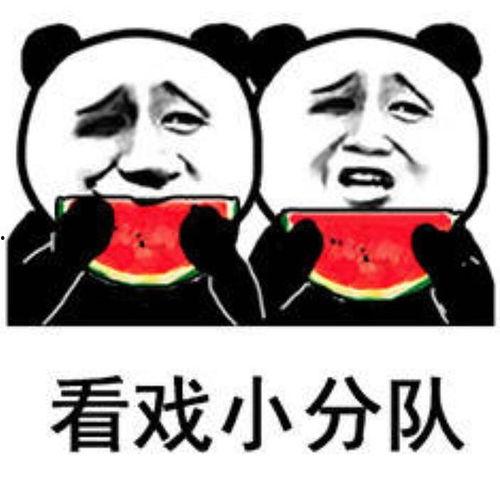 娱乐圈吃瓜表情包